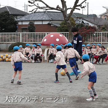 290238a.jpg