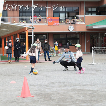 290232a.jpg